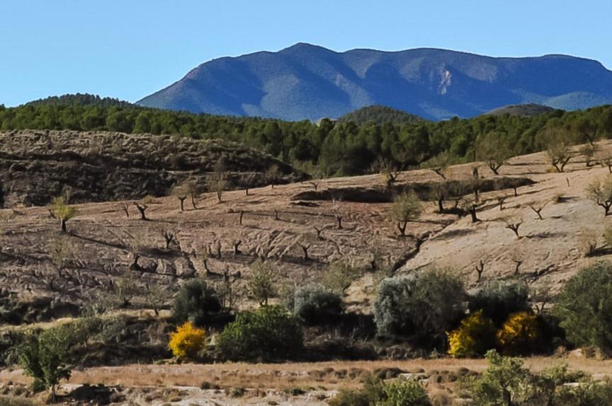 Vila Casa La Sorpresa La Ermita Exteriér fotografie