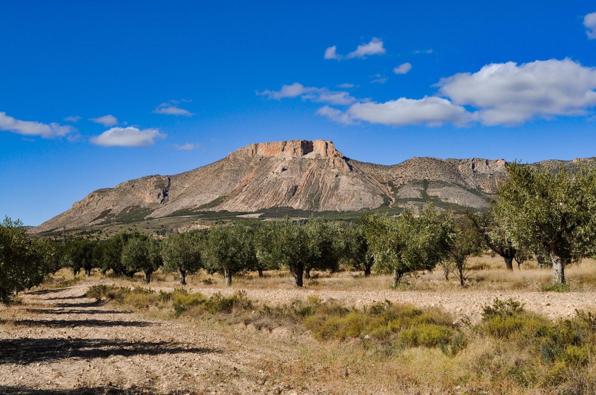 Vila Casa La Sorpresa La Ermita Exteriér fotografie