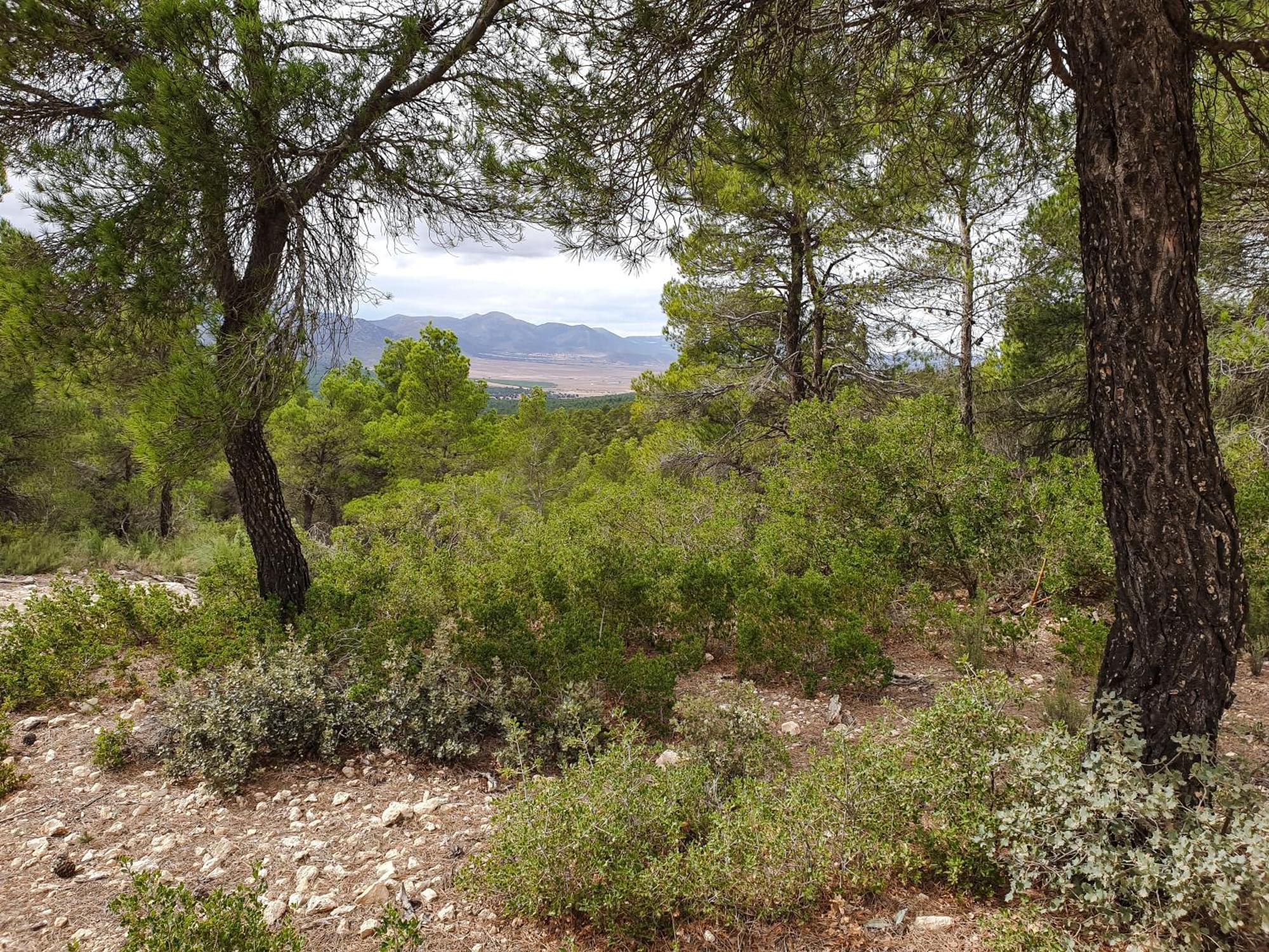 Vila Casa La Sorpresa La Ermita Exteriér fotografie